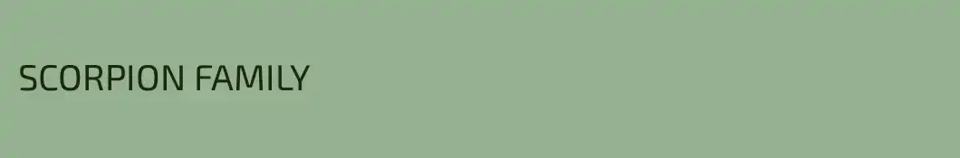 SCORPION FAMILY